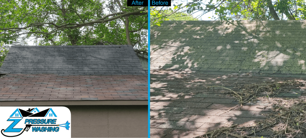 A shed roof showing the before and the after soft wash roof treatment.